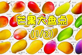 1/3 芒果大盘点：带你了解不同种类的芒果