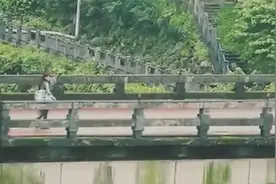 北京女子养黄鼠狼当宠物,晚上竟看到“黄大仙拜月”,它成精了_