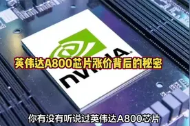 英伟达A800芯片涨价背后的秘密视频封面