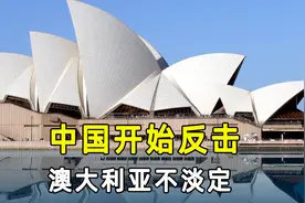 中国开始反击？国际铁矿石价格大跌，澳大利亚不淡定，求锤得锤视频封面
