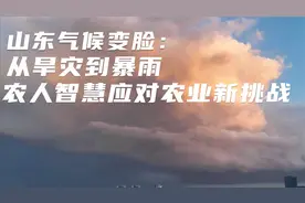 山东气候变脸：从旱灾到暴雨，农人智慧应对农业新挑战视频封面