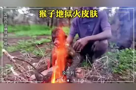 猴子地狱火皮肤视频封面