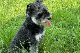 高中数学人教版选择性必修一 B：空间向量及其运算 1