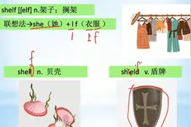 中考必备单词shelf 架子；搁架