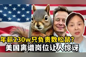 年薪230w只用数松鼠？美国奇葩工作大起底，马斯克改革真不亏视频封面