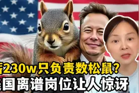 年薪230w只用数松鼠？美国奇葩工作大起底，马斯克改革真不亏视频封面