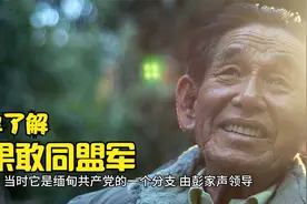 简单了解果敢同盟军视频封面