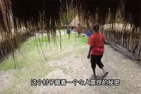 这是一个神秘的村庄，据说这里藏着一个令人震惊的秘密视频封面