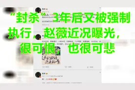 “封杀”3年后又被强制执行，赵薇近况曝光，很可恨，也很可悲