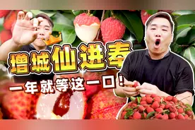 肉厚核小甜度极高！吃过仙进奉，其它荔枝都索然无味了！