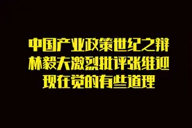 中国产业政策世纪之辩。林毅夫激烈批评张维迎，现在觉的有些道理