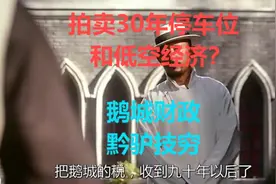 拍卖30年停车位与低空经济？“鹅城”财政黔驴技穷视频封面