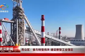 青山区：奋力转型闯关 建设新型工业强区视频封面