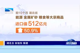 强信心 稳预期 促发展 前10个月湖北贸易进出口总值突破5100亿元视频封面