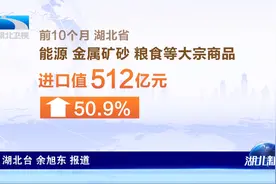 强信心 稳预期 促发展 前10个月湖北贸易进出口总值突破5100亿元视频封面