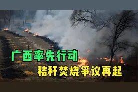 秸秆焚烧争议再起，广西率先行动，专家理论遭遇实践检验视频封面