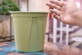 新手养花可以选什么样的花盆?园艺师教你，用青山花盆，透气透水视频封面