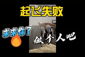 【盘点那些猝不及防的搞笑瞬间】喵星人：求求你了，做个人吧视频封面