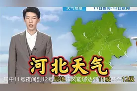 注意！11号起强冷空气来袭，河北省大风降温，局地阵风12级视频封面