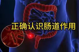 正确认识肠道作用