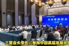 三星会长李在镕参加中国高层发展论坛视频封面