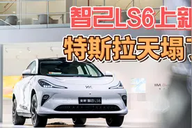 智己LS6上新，特斯拉天塌了？视频封面