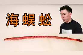 小伙伴千呼万唤的海蜈蚣来了，就问你们敢不敢吃 #海蜈蚣 #禾虫