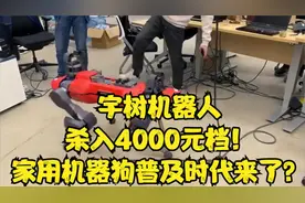 宇树机器人杀入4000元档！家用机器狗普及时代来了？视频封面