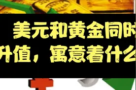 美元和黄金同时升值，这到底寓意着什么，是老美的阴谋？还是？视频封面