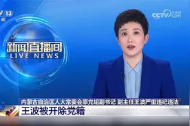 内蒙古自治区人大常委会原党组副书记 副主任王波被开除党籍视频封面