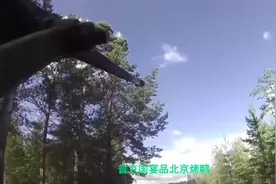 普京国宴吃北京烤鸭，中俄发万字声明，美媒又酸了：俄是中国累赘视频封面