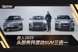 跨入2025，头部亲民混动SUV三选一视频封面