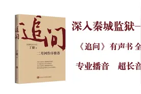 《追问》——题记、背景、序     高质量有声书视频封面