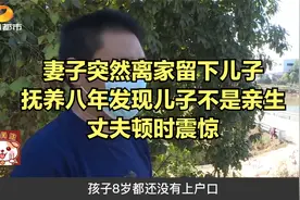 妻子突然离家留下儿子，抚养八年发现儿子不是亲生，丈夫顿时震惊视频封面