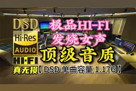 HI-FI发烧女声，顶级音质，DSD完整版，单曲容量1.17G视频封面