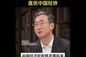 就这三招，盘活中国经济。#华红兵#.C55995视频封面
