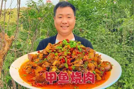一只甲鱼五斤肉，大铁锅炖入味，大口吃肉的感觉真爽