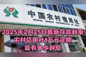 2025年2月25日最新存款利率：农村信用社1万元定期能有多少利息？视频封面