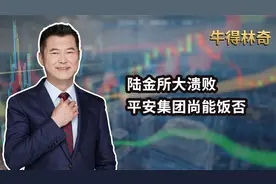 陆金所大溃败 平安集团尚能饭否