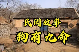 民间故事：狗有九命视频封面