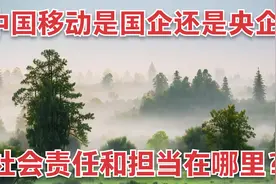 中国移动是国企还是央企？社会责任和担当在哪里？！这样改革的？视频封面
