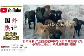 日本人怒了请停止你们这种行为！柴犬八嘎狗火到国外#柴犬视频封面