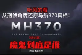 还原马航370坠机真相！——魔鬼到底是谁！（结论篇）视频封面