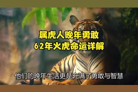 属虎人晚年勇敢，62年火虎命运详解视频封面