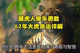 属虎人晚年勇敢，62年火虎命运详解视频封面
