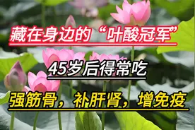 藏在身边的“叶酸冠军”，45岁后得常吃，补肝肾，增强免疫力视频封面