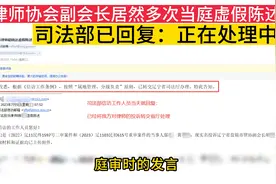 律师协会副会长庭审中多次虚假陈述？ 司法部已回复：正在处理中视频封面