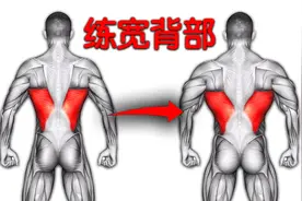 7个练背黄金动作,打造宽厚背部，新手友好视频封面