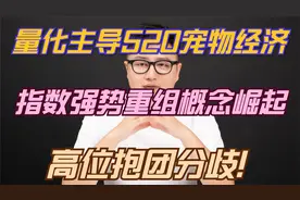 量化主导520宠物经济，指数强势重组概念崛起，高位抱团分歧！视频封面