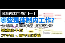 学生党必看：什么是体制内工作视频封面